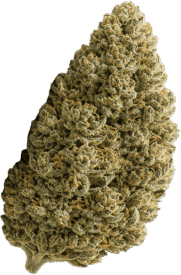 Medizinisches Cannabis online kaufen